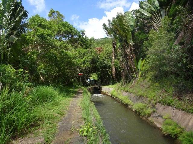 Il est ici plus large qu'ailleurs