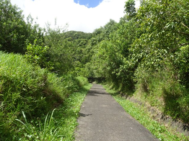 Une véritable piste bétonnée sert de toit au canal