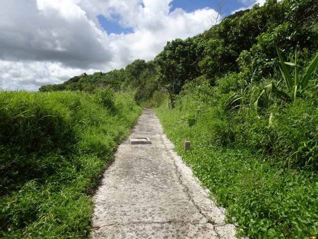 Des regards permettent à la maintenance de descendre dans le canal