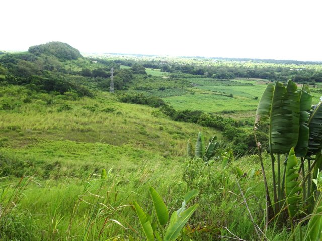 Le paysage vers la gauche