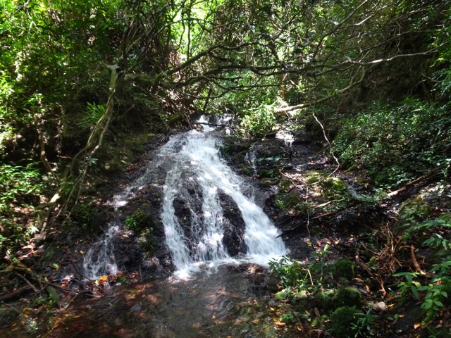 Rencontre avec de nouvelles petites cascades
