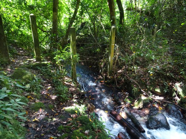 Un sentier part vers l'aval entre deux poteaux béton