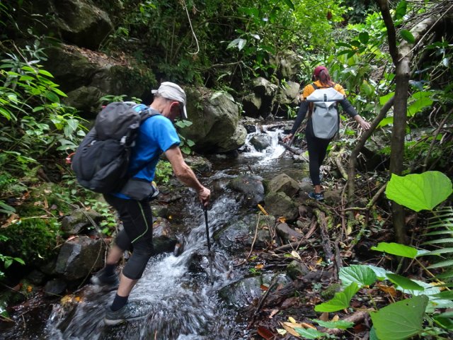 Difficile de remonter le courant sans se mouiller les pieds