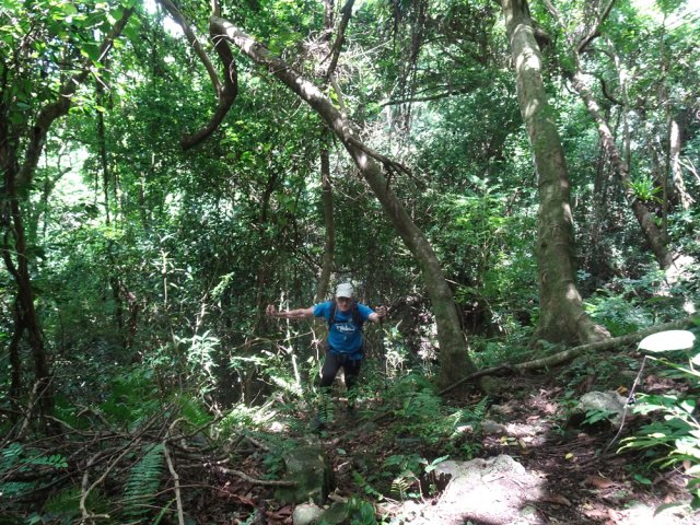 On retrouve un sentier après le pierrier
