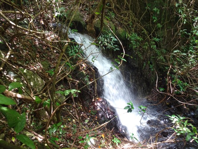 La petite cascade suivante, proche de la première