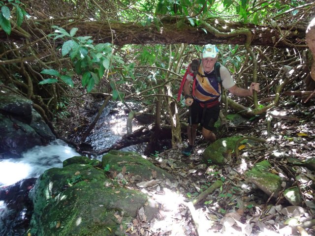 L'étroit sentier longe au plus près le petit cours d'eau