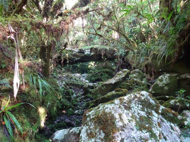 On franchira une douzaine de ravines plus ou moins profondes, larges ou en eau