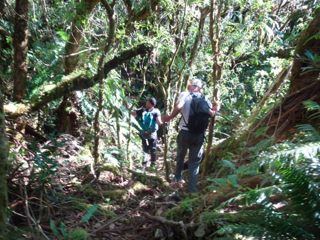 D'autres fois, il faut chercher des yeux le passage ou les coches sur les écorces