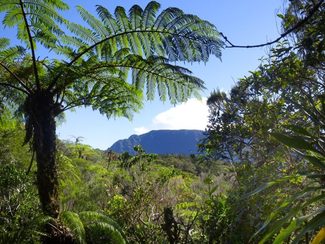 Très rares panoramas ; ici sur le Mazerin