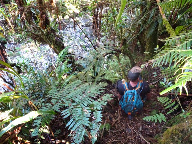 Très forte descente pour rejoindre le lit du Bras Chansons