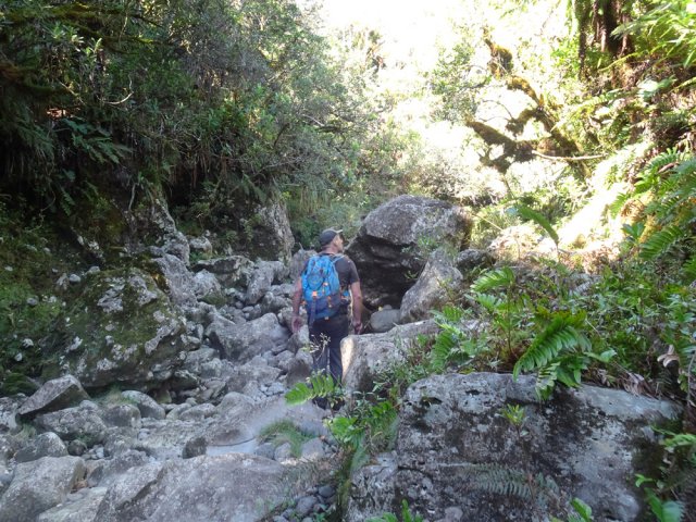 Remonter assez facilement vers l'amont du bras
