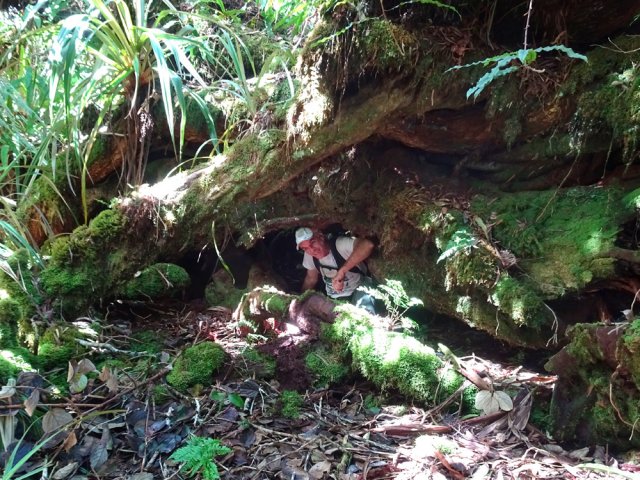 Nouveau tunnel végétal très salissant