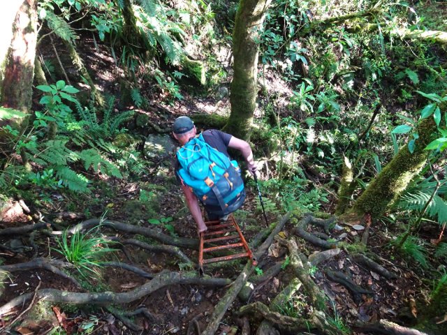 Une échelle rouillée pour faciliter un passage sur racines assez vertical