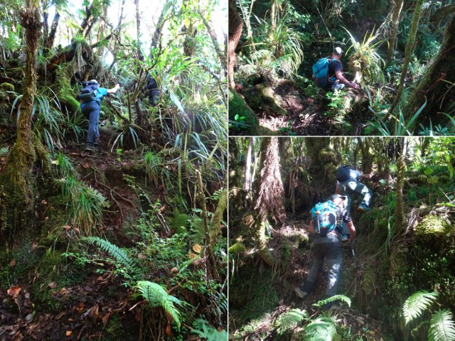 Le terrain n'est jamais plat et demande de séreux efforts