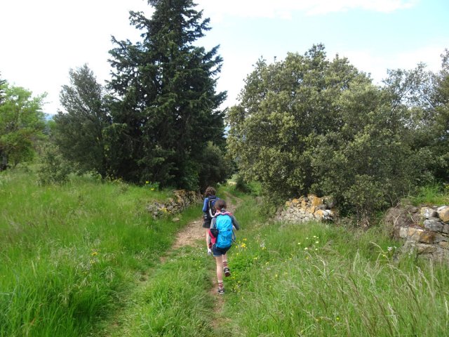 La boucle débute par un chemin empierré très agréable