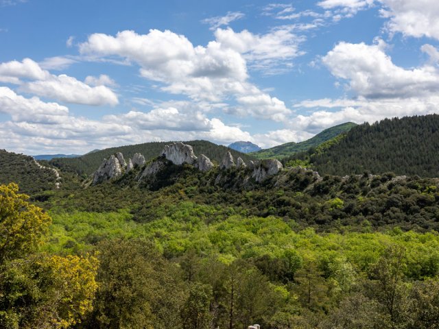 Les dents calcaires, le clou de la boucle