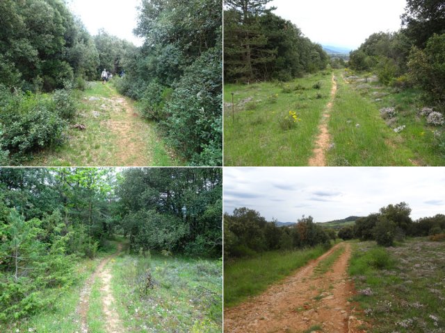 Le retour, tout en descente, emprunte également de nombreux types de pistes et sentiers