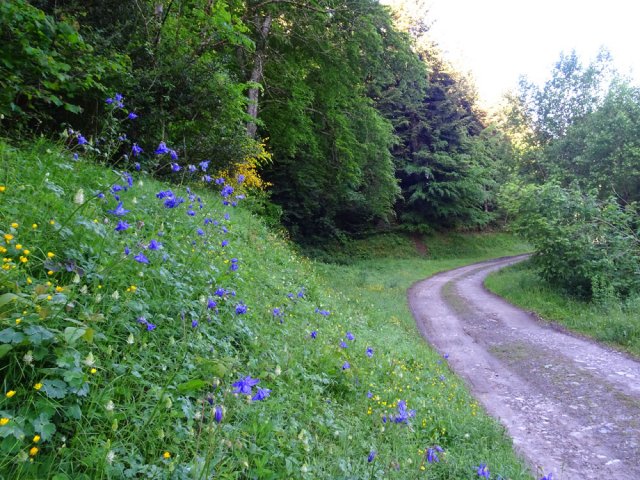 Prendre chaque fois les chemins partant vers la droite ou vers les berges