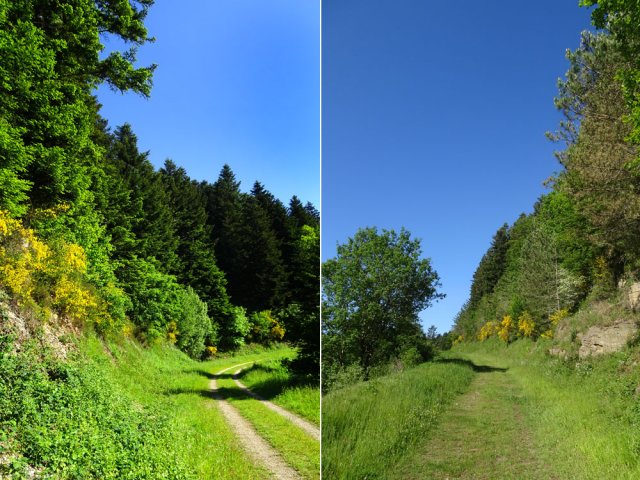Le chemin est toujours en corniche à flanc de montagne