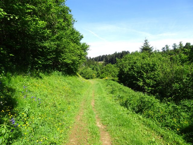 Les chemins de la deuxième partie sont plus en herbe