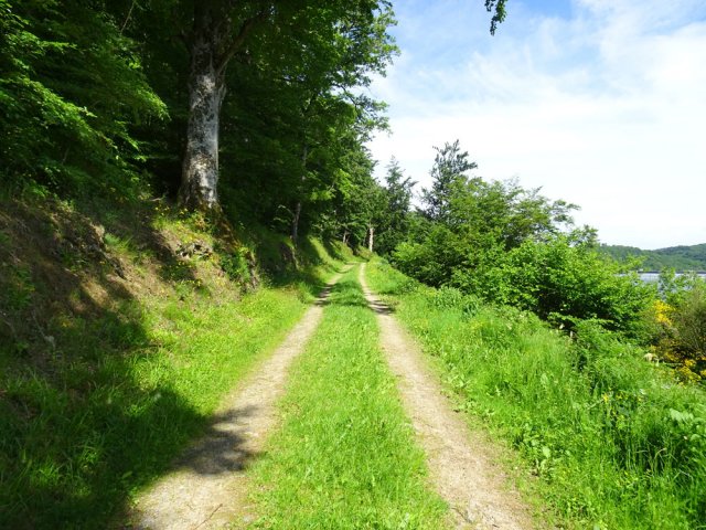La randonnée est toujours aussi plate et agréable