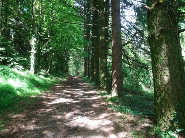 Varier le retour en récupérant plus tôt la Rigole de la Montagne Noire