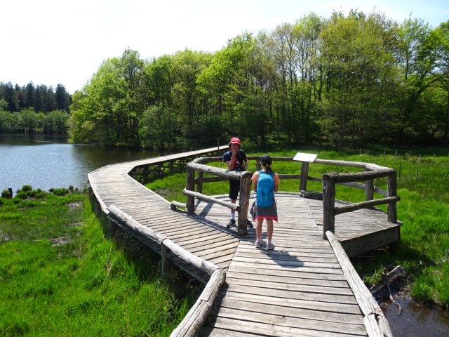 Des zones d'observation sont aménagées près de l'étang