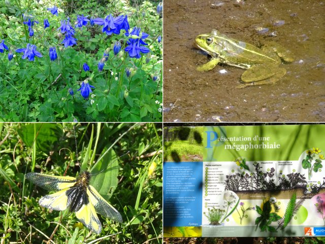 S'intéresser à la faune et à la flore de la région