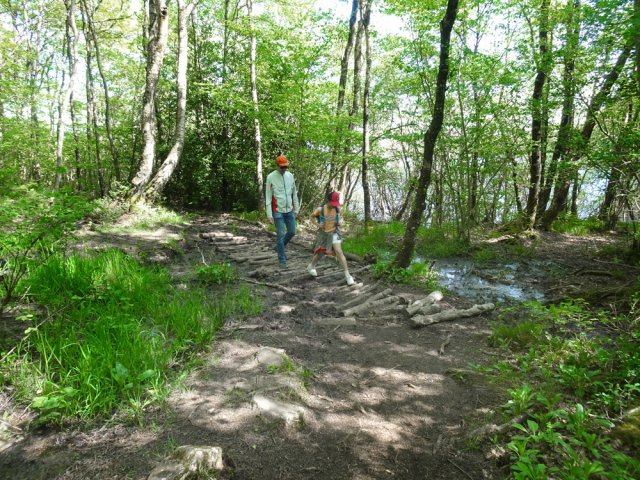 Les zones boueuses sont protégées par des rondins de bois