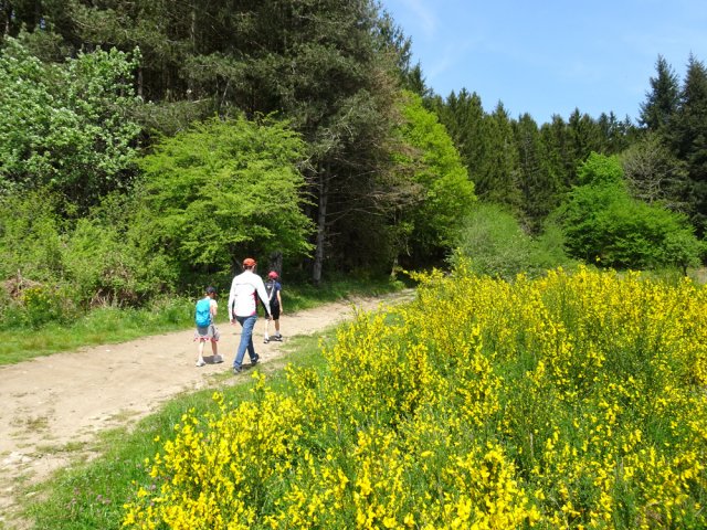 Partir vers Clergo Naouto plutôt qu'emprunter la route