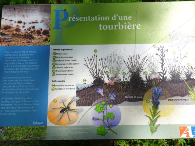 On arrive sans effort à la tourbière de Las Menoyos