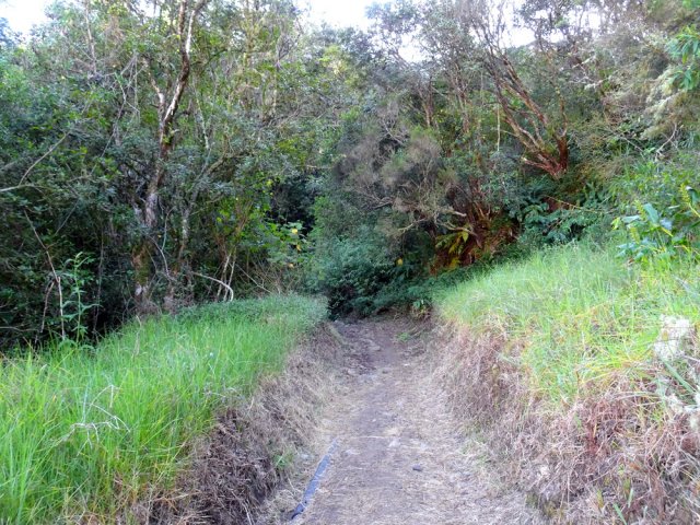 Le sentier s'éloigne des habitations et monte par moments