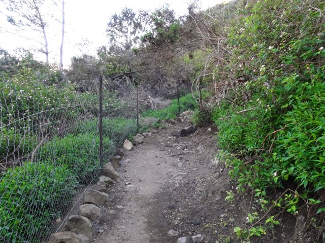 Les galaberts ont tout envahi, mais le passage reste très correct