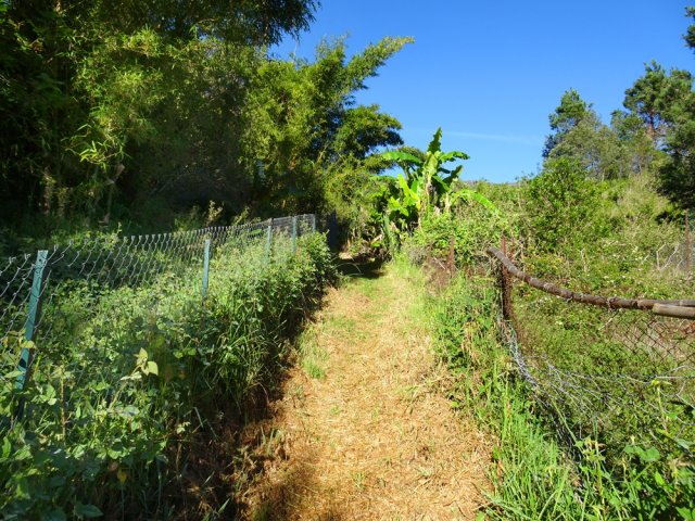 Les grillages délimitent les propriétés