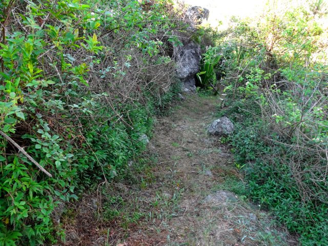 Le sentier s'éloigne à nouveau pour contourner le plateau
