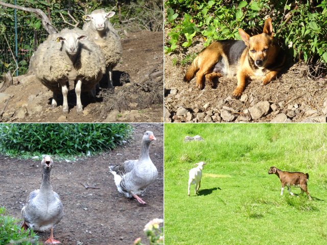 Quelques rencontres durant la boucle