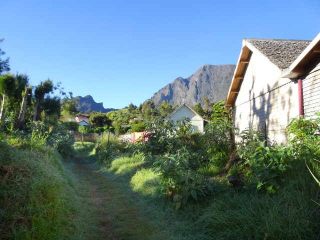 Beaucoup de rosée au petit matin dans les "rues" de l'îlet