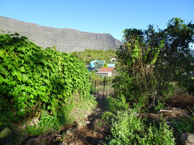 Un raccourci entre cultures et chouchous