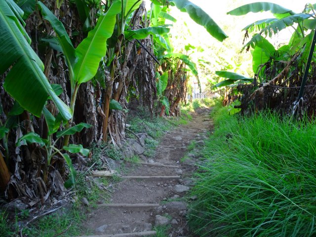 Certains sentiers sont extrêmement fréquentés