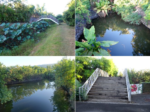 Suivre le canal bordé de lotus pour éviter les rues bruyantes