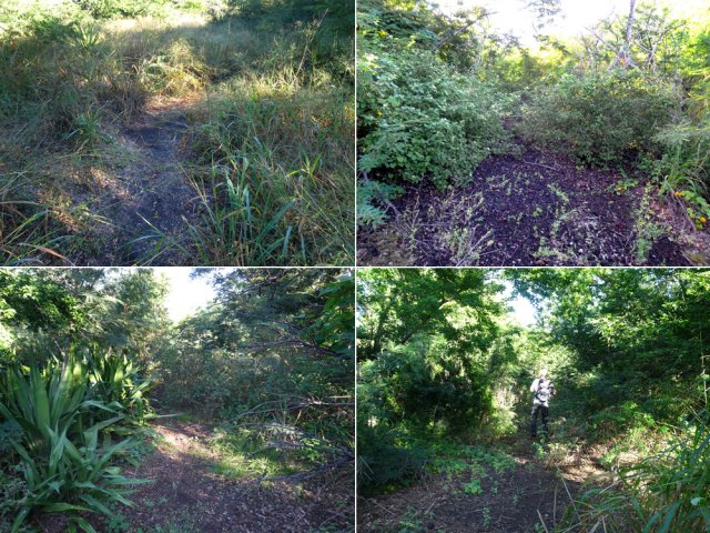 La partie aventure de la boucle à rechercher le sentier abandonné