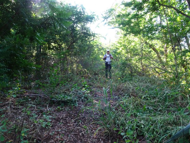 On le devine le plus souvent mais il faut garder les yeux au sol