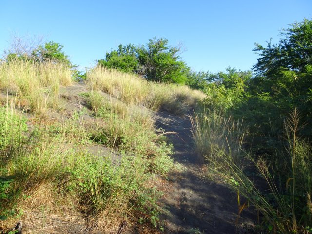 On s'élève un peu sur les dunes
