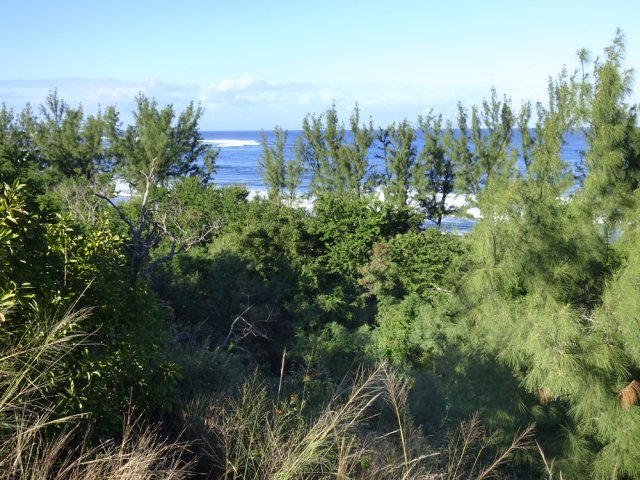 Du haut des dunes, on a de larges points de vue sur la plage de l’Étang-Salé
