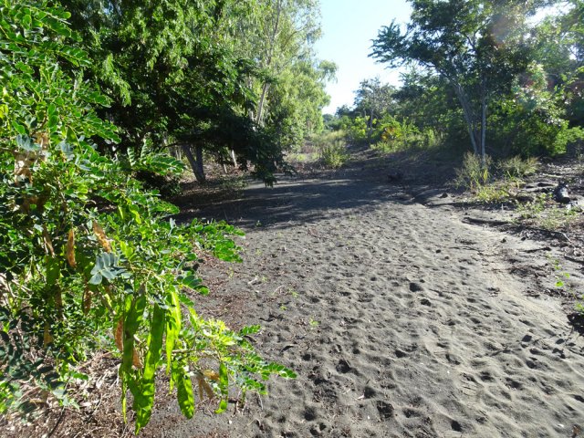 Les pistes et sentiers sont de plus en plus sableux en direction de la Ravine Mila