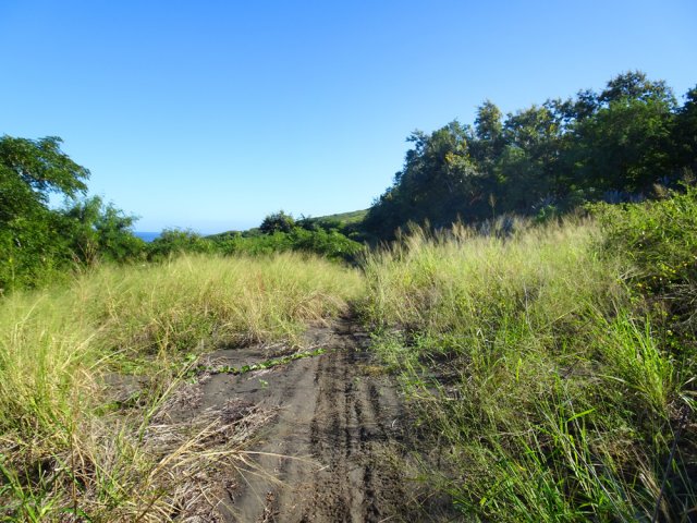 A partir de la ravine, il suffit de suivre les traces de pneus de motos