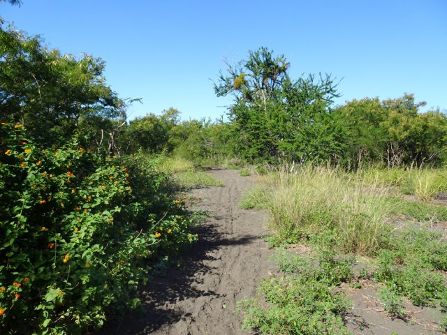 Le dernier hectomètre avant d'arriver au camping de l’Étang-Salé
