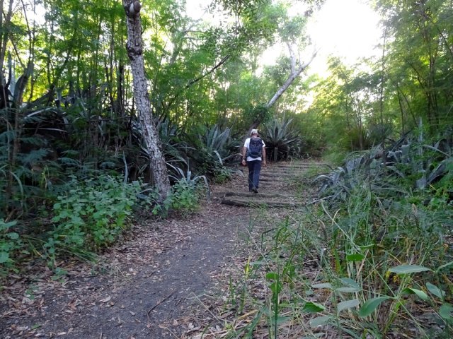 Emprunter le sentier de gauche après le stade ; il est moins fréquenté des sportifs