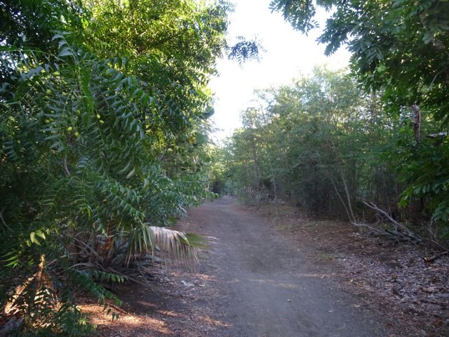 Piste sableuse presque totalement plane