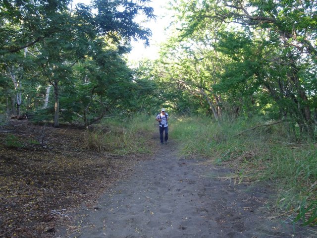 Le sable gris peut être épais à certains endroits